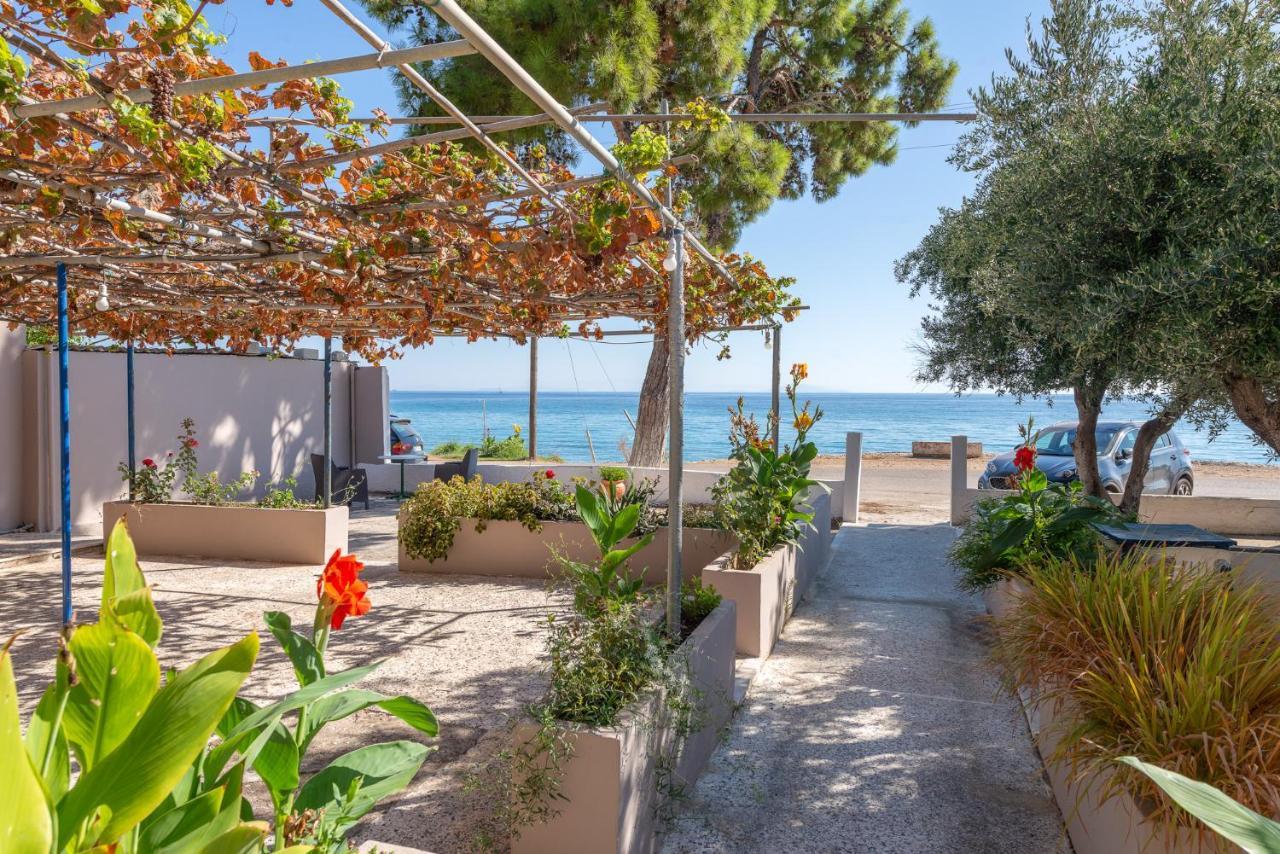 Akrogiali Studios Poros  Exterior photo